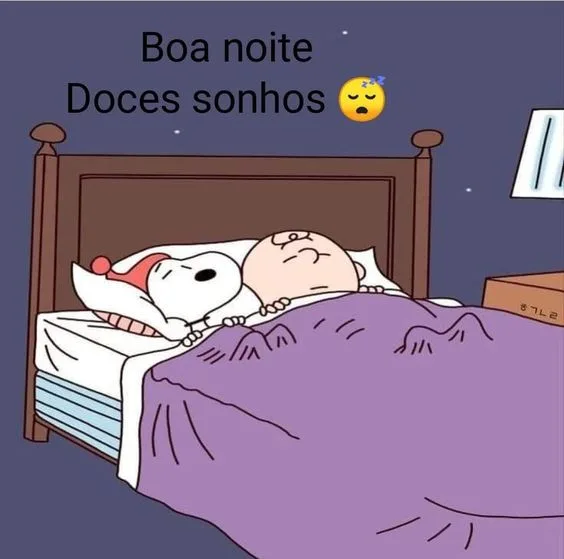 Boa noite Snoopy com bons sonhos