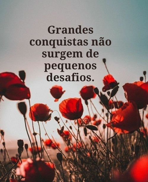 Grades conquistas vem de grandes desafios