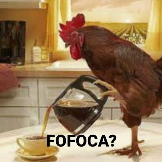 fofoca 