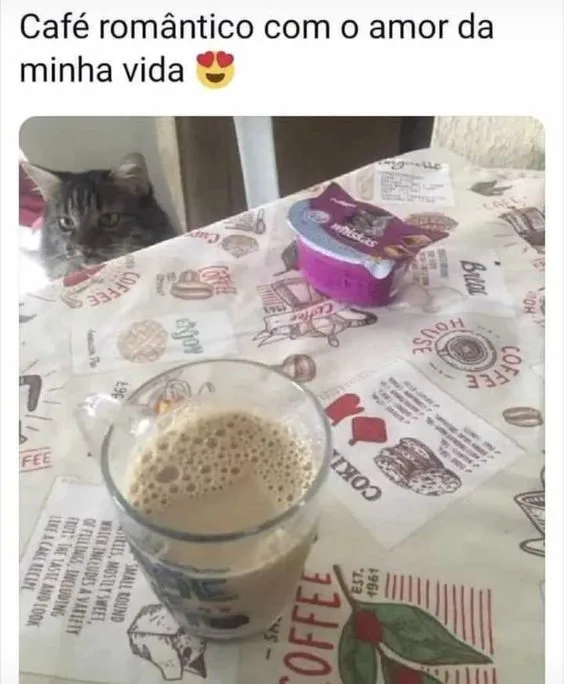 Café romântico com gato