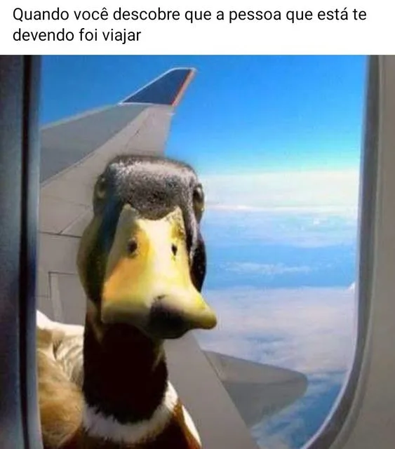 Imagens engraçadas de pessoa te devendo