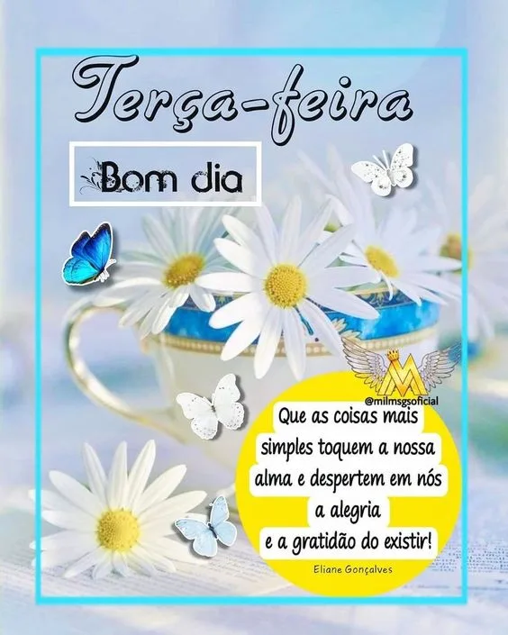 Terça-feira de alegria e gratidão