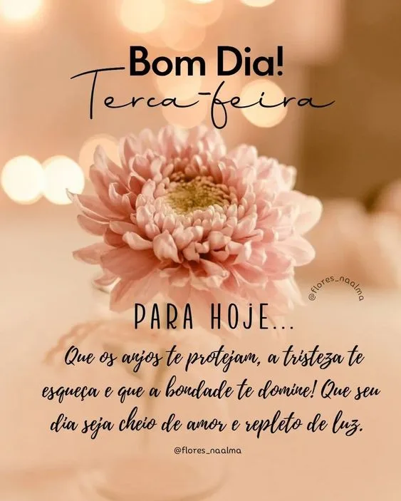 Bom dia terça-feira para hoje