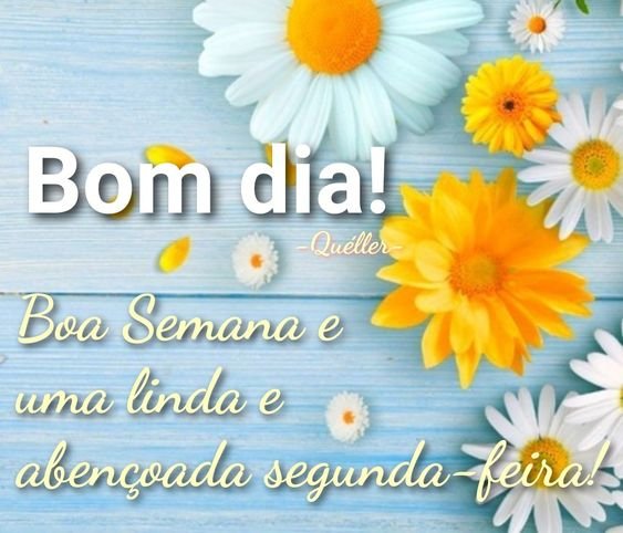 Bom dia boa semana