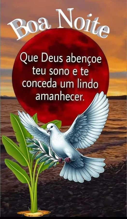 Boa noite! Que Deus abençoes seu sono e te conceda um lindo amanhecer.