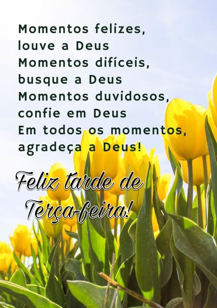 Feliz tarde de terça-feira