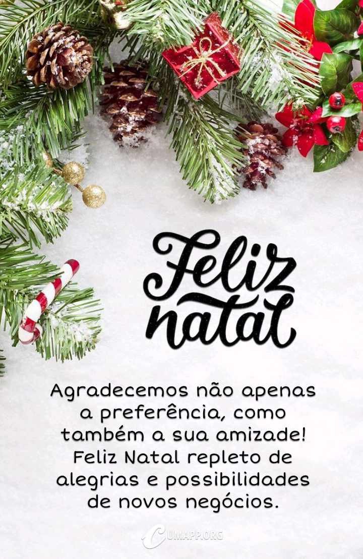 Agradecemos não apenas a preferência, como também a sua amizade! Feliz Natal repleto de alegria e possibilidades de novos negócios.