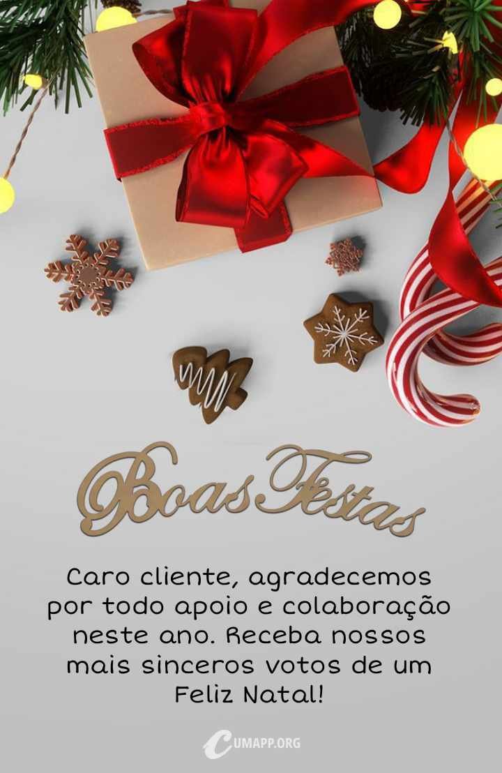 Caro cliente, agradecemos por todo apoio e colaboração neste ano. Receba nossos mais sinceros votos de um Feliz Natal!