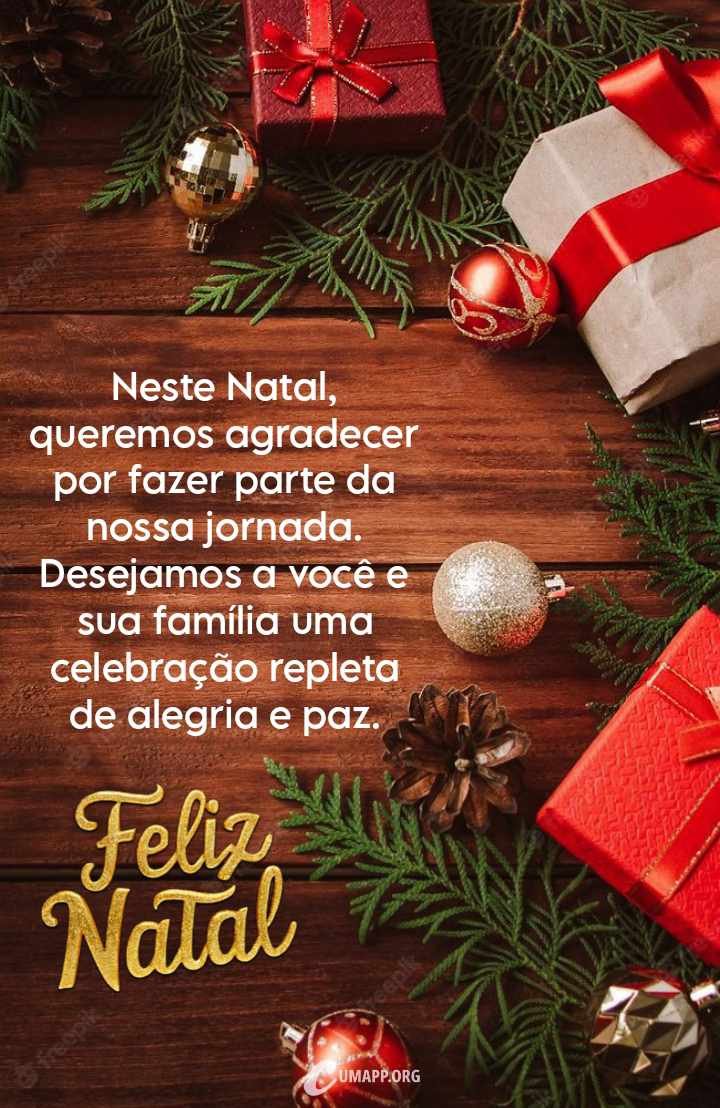 Neste Natal, queremos agradecer por fazer parte da nossa jornada. Desejamos a você e sua família uma celebração repleta de alegria e paz. Feliz Natal