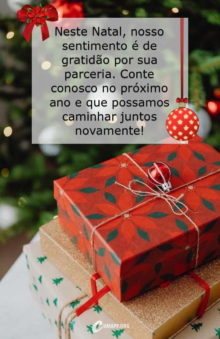 Neste natal nosso sentimento é de gratidão por sua parceria. Conte conosco no próximo ano e que possamos caminhar juntos novamente!