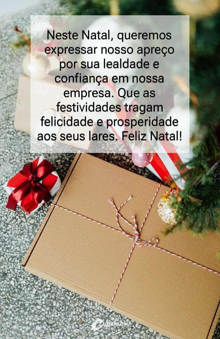 Neste natal, queremos expressar nosso apreço por sua lealdade e confiança em nossa empresa. Que as festividades tragam felicidade e prosperidade aos seus lares.