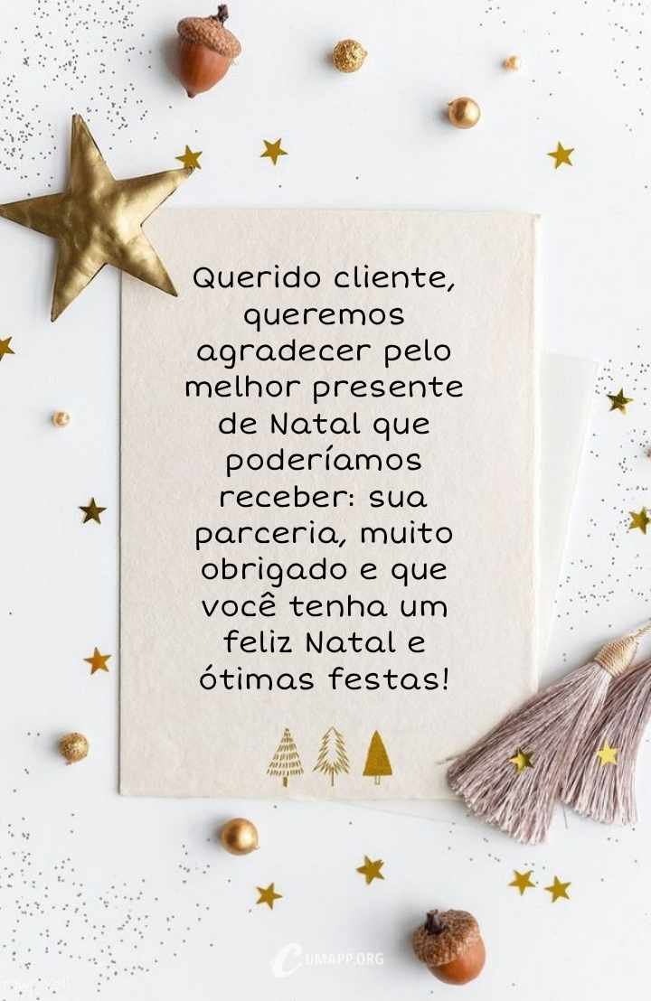 Querido cliente, queremos agradecer pelo melhor presente de Natal que poderíamos receber muito obrigado e que você tenha um feliz natal e ótimas festas